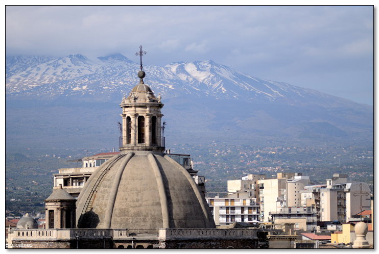 Aperitivi di cultura politica